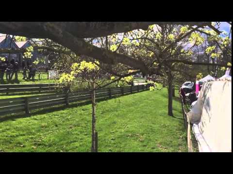 Prescott Hill Climb 2016 Rob Gregory's 2nd Run 3rd Person