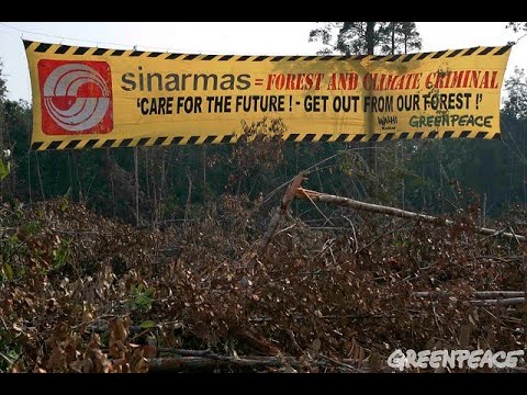 UNETHICAL ISSUES IN FINANCIAL REPORTING : SINAR MAS GROUP