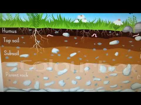 GSEB Standard 10 Social Science Chapter 8 Natural Resources Page 60/61 part 3 for Eng.Med. Students