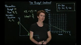 The budget constraint