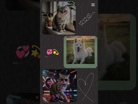 Cats and dogs unite! Watch as these furry friends play,cuddle, and steal the show.Cutest video ever.