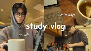uni vlog | winter semester, late night studying