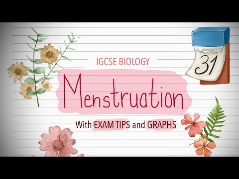 IGCSE Menstruation + Exam Tip | Key Hormones, Phases and Graphs