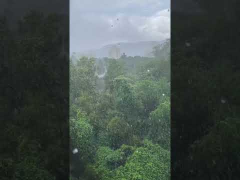 #nature #travel #song #10september #funnyvideo #funnyshorts #youtubeshorts #youtube #mumbai