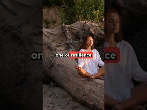 Test Video 2025-05-06T10:05:43.191Z