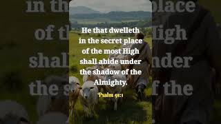 HE THAT DWELLETH #motivation #faithhabits #bible #love #prayerandpurpose #godsword #holybook
