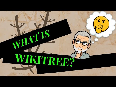 What is WikiTree?
