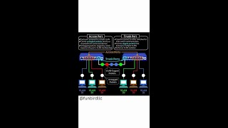 Access Ports vs Trunk Ports Explained 🌐🔌