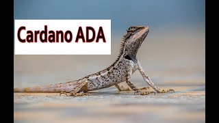 Cardano (ADA)Analysis & Forecast(June 24 2023)