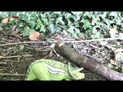 Dinos weird day part 2