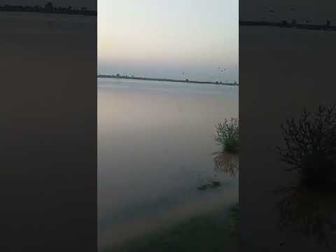 Jhelum River #river #nature #photography #travel #naturephotography #water