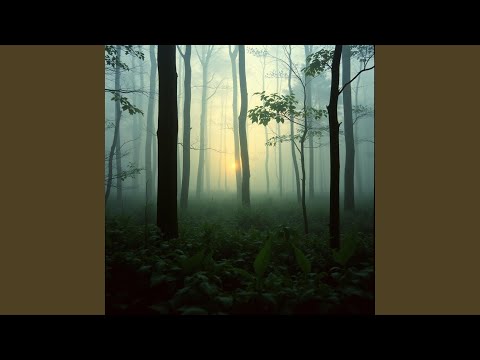 Return to the Root