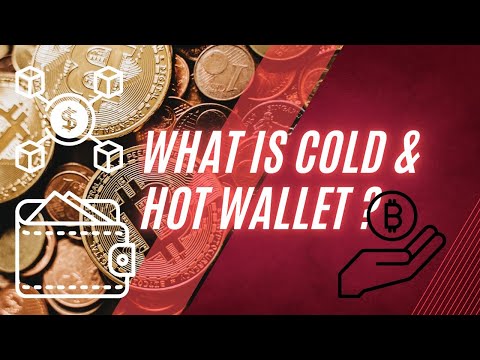 Crypto Wallets Explained: Hot vs Cold