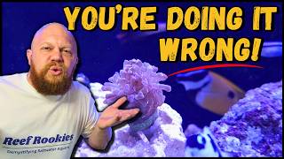 Reef Tank water parameters and balance!