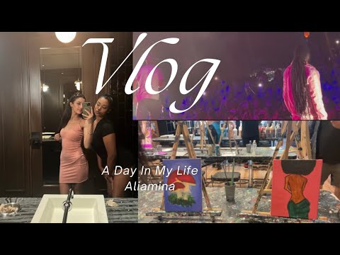 Daily Vlog: We met who!? (Wine n paint, Concert and White elephant gifts)