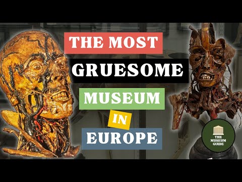 France's "House of Horrors" - The Fragonard d'Alfort Museum