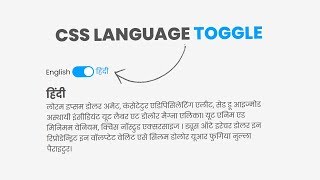 Pure CSS Change Language Toggle | CSS Custom Checkbox Toggle