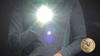 ASP Snapshot – Matrix Light