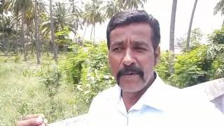 #மழைநீர்சேகரிப்புஎழியமுறை #RainwaterHarvesting | Easy and Compact Method | maram மாசிலாமணி