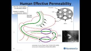 ADMET Predictor 8.5 Webinar: ‘Discovery PBPK’  Efficiently use PBPK modeling to drive lead selection