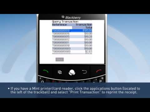 6 BB Query Master