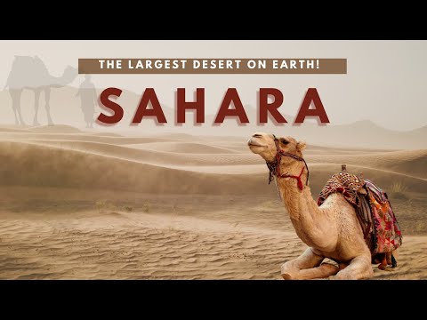 The Largest Desert on Earth! Surprising Facts About the World's Biggest Desert#Desert #SaharaDesert