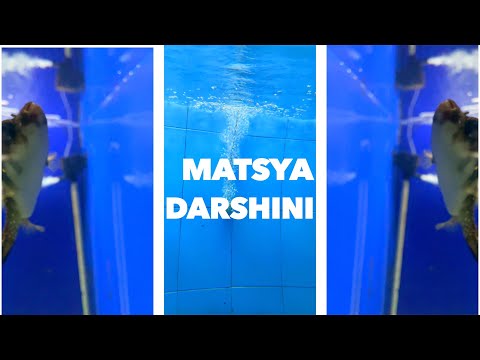 Visakhapatnam Matsya Darshini Tour - Vizag Aquarium