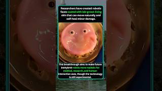 Scientists Create Robots With Living Human-Like Skin That Can Self-Heal #viral