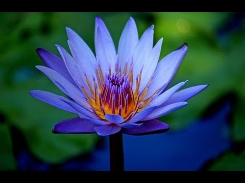 Ambe Rani Ne Kardi Kripa New Song by Sadhna Sargam