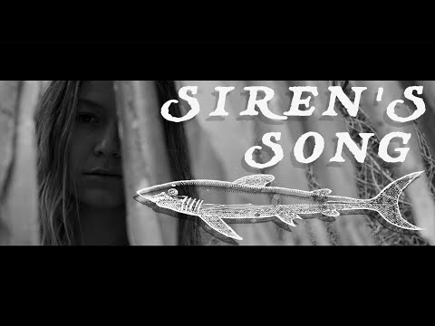 Siren's Song - An Enchanted Sea Creature's Inter-dimensional Journey Back To The Ocean