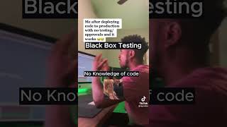 Black Box Testing