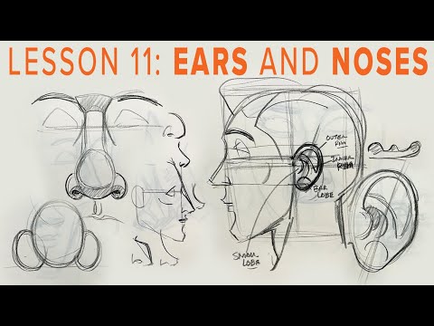 Learn to Draw Anatomy - Realistic Ears and Noses
