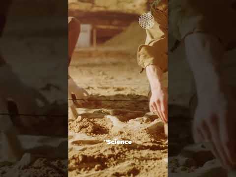 Before The Flood