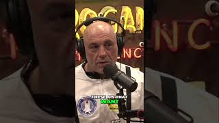 The Future of Artificial Intelligence  Open Source vs  Google's Dominance-joerogan