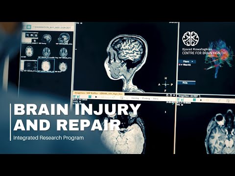 Brain Injury and Repair Integrated Research Program