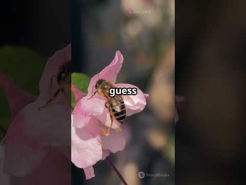 "5 Crazy Facts About Honeybees!"