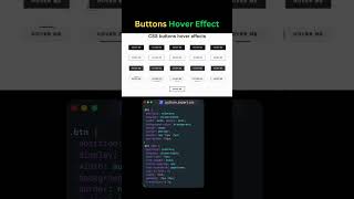 CSS Tricks: Best Button Hover Animations for Developers!#shorts #coding #programming #cssanimation