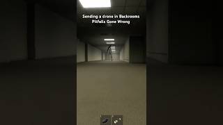 Sending a drone in Backrooms Pitfalls Gone Wrong