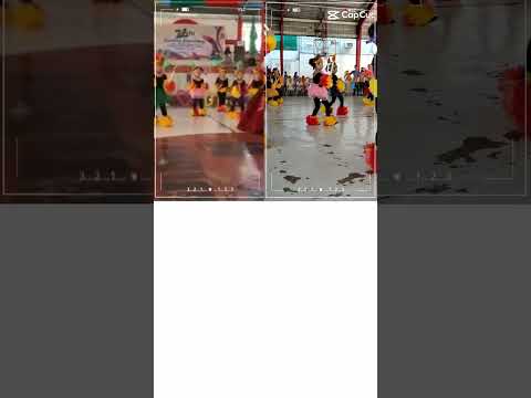 School Class Presentation