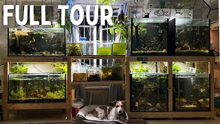 My Private Fish Room Revealed – An Exclusive Look Inside!
