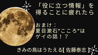 「役に立つ情報」を得ることに疲れたら。おまけ：夏目漱石"こころ"はゲイの話！？　きみの鳥はうたえる [ 佐藤泰志 ]