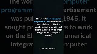 programming Facts - First Job About Programmer