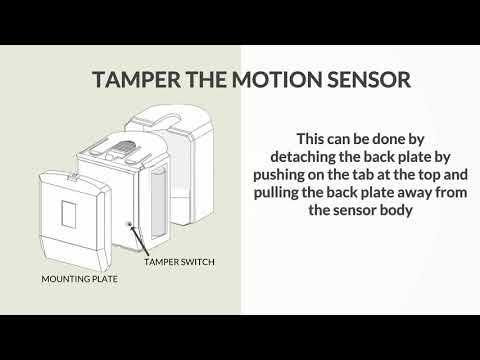 Adding and Connecting Motion Sensors