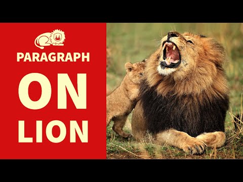Paragraph on Lion in English | Lion Paragraph in 100 Words | Short Essay on Lion.