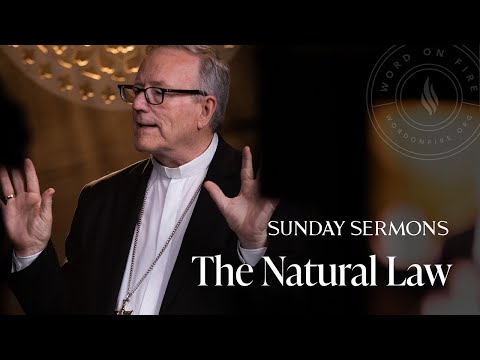 The Natural Law - Bishop Robert Barron’s Sermon 2025