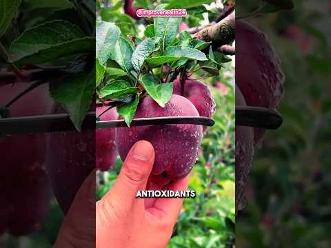 5 Top Fruit For Longevity#nutrition#healthtips#food#viralvideo