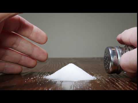 Salt Shaker