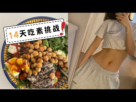 I tried vegetarian for 2 weeks, here's what happened...