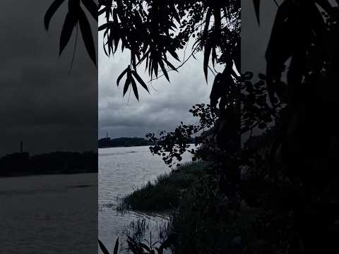 feels the nature 🍃