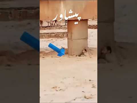 flood in swat || flood in Pakistan || selab #flood #floodinswat